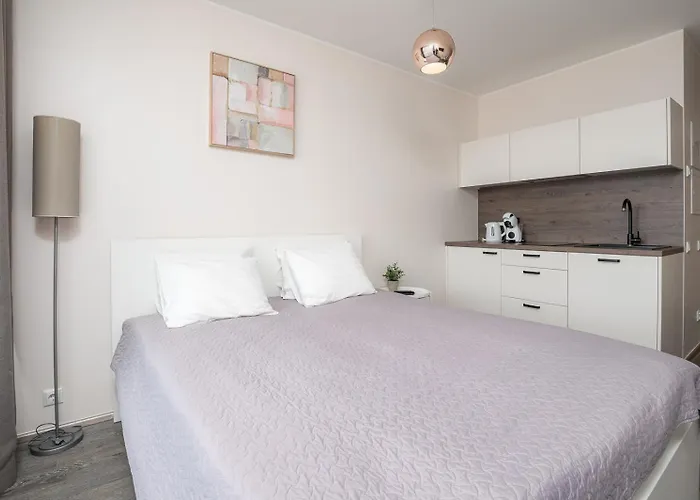 Aisa 公寓 派尔努